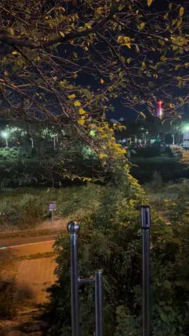 가장 서툴 때 만나 가장 사랑했던 사람