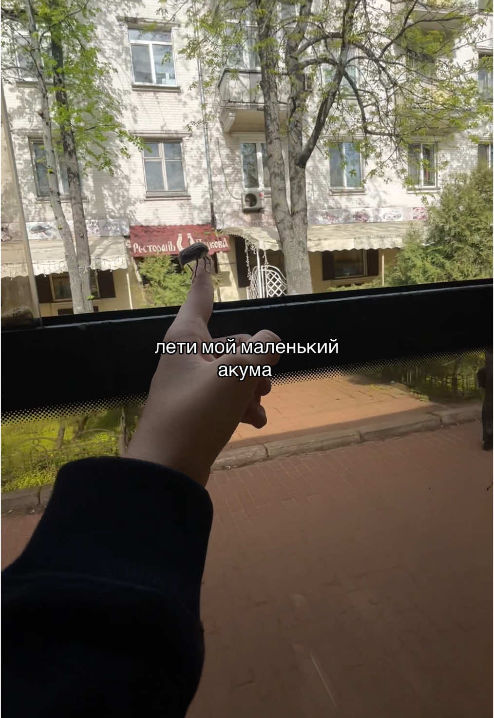 я его потом случайно уронила со второго этажа, простите 🫢 #акума #майскиежуки #жук #рекомендации #популярное #rge #fyp #video #видео #тренд #rgeeeeeeeeeeeeee #fypppppppppppppppp #мем 