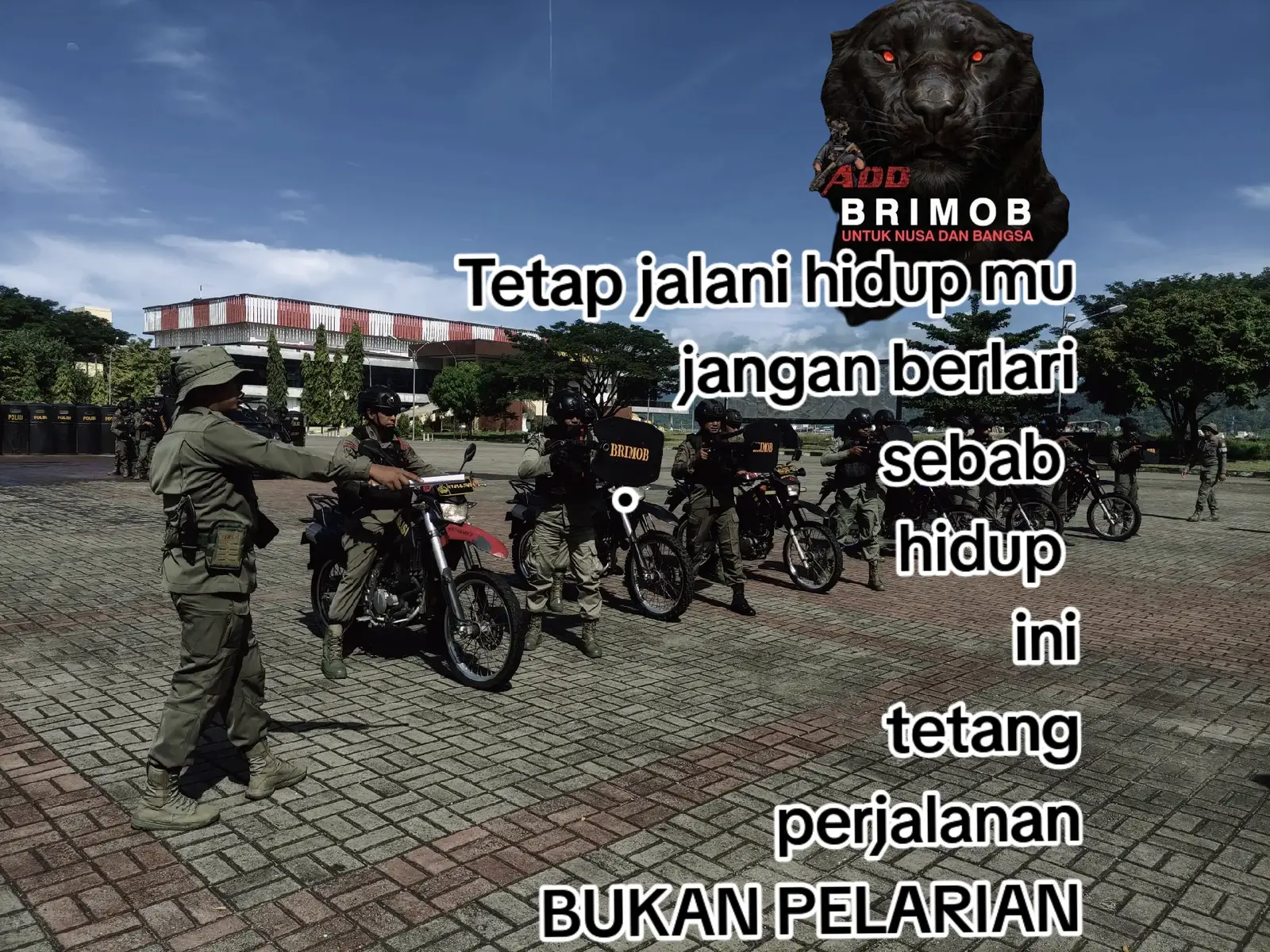 jangan menyerah #firal #ambonpride🏝🔥 #fyp #malukupride🏝🔥 #BRIGADE #indonesia🇮🇩 