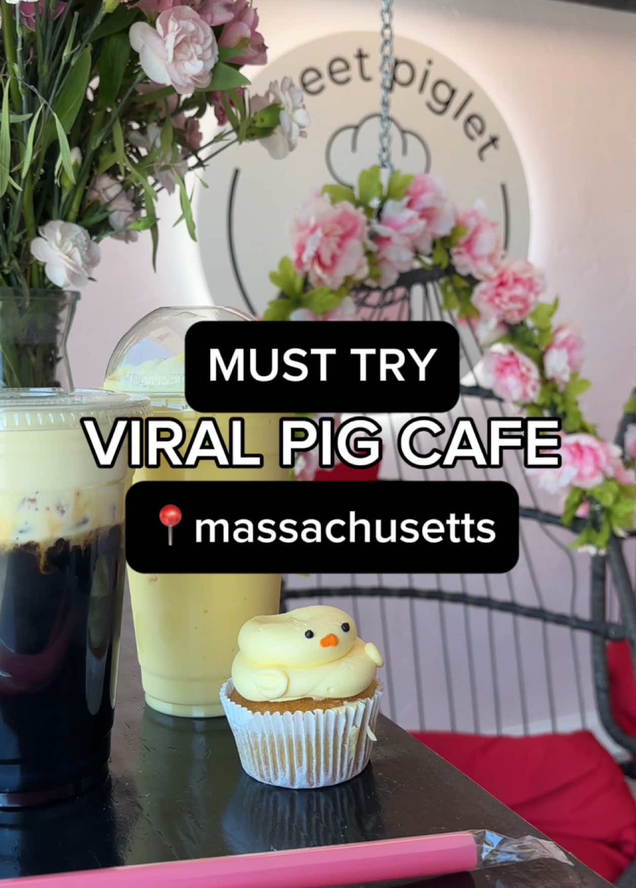 Pig themed cafe 🐖 #massachusetts #boston #bostontiktok #newengland 