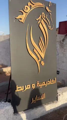 ب#👑بـــنت الشيووخ 👑#حايلندا_اكسبلور_حايل😻♥️♥️ #fypppp #@وليد الساير#مربط الساير 🐎 
