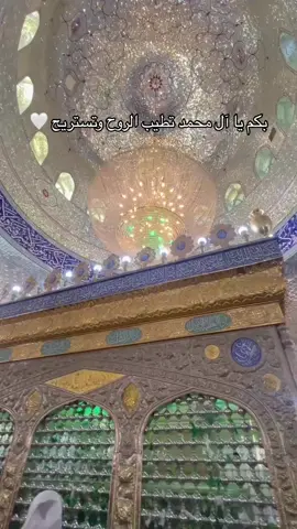 بكم يا آل محمد تطيب الروح وتستريح ♥️