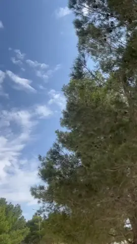 ‏