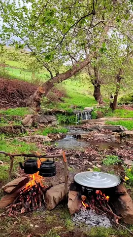 سروشتی جوانی کوردستان سیدەکان