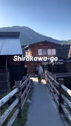 #shirakawago #japan #fy #village 
