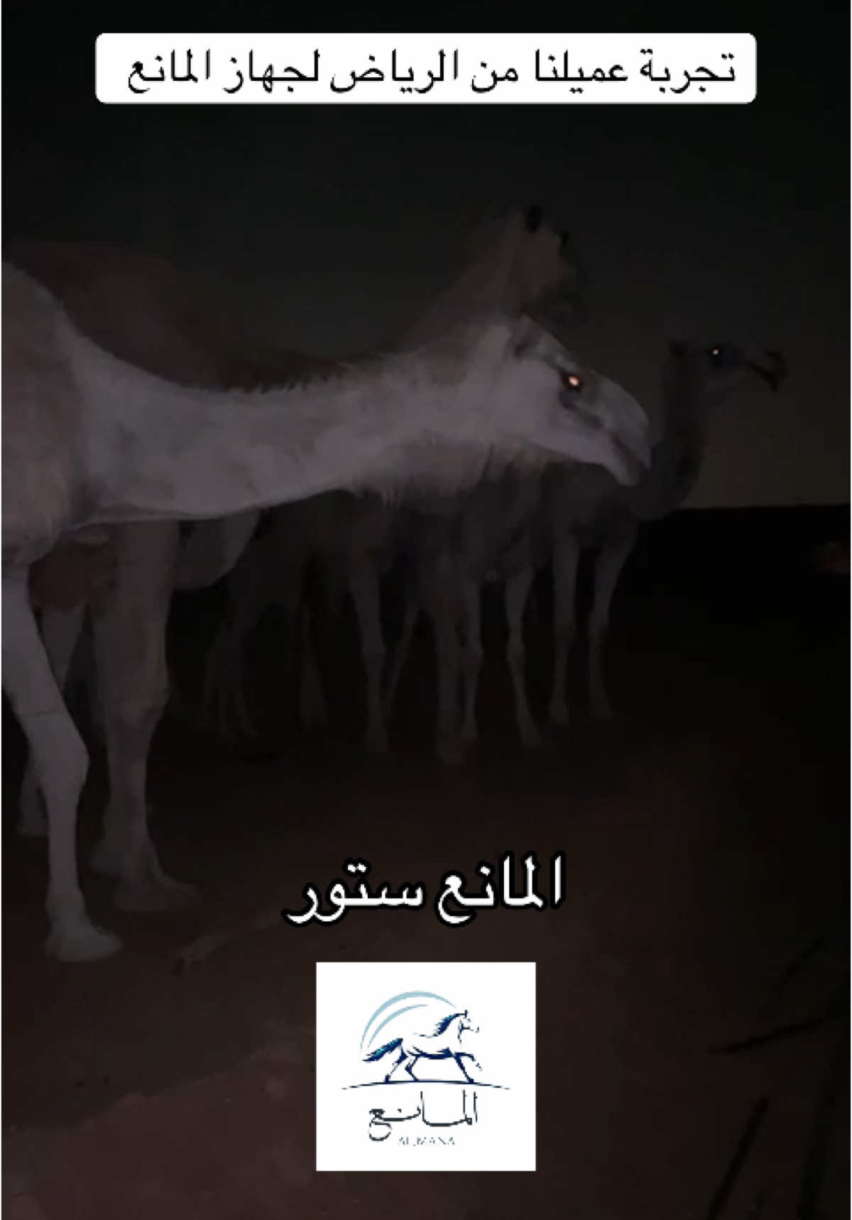 للطلب الجهاز واتس 0565302367  #ابل #الابل_عطايا_الله #الابل_عطايا_الله #explore #tiktoklongs #مزرعة 
