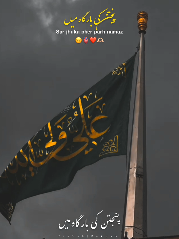 Panjtan Ki Bargha Me sar jhuka pher Parh Namaz❤️ . . . . . . . . . . .                                                  #20shawal #shiastatus  #yaali #unfreezmyaccount  #aliwaly #aliunwaliullah #yaali #islamic #shia #fyp #shaban #imamali #karbala #imamhusain 