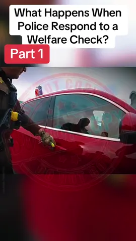 What Happens When Police Respond to a Welfare Check?, part 1#policeofficer #cops #cop #bodycam 