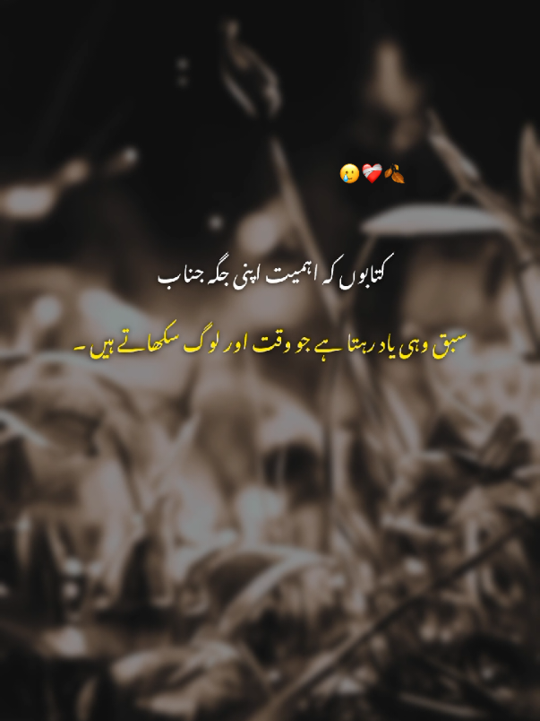 Bilkul 🥲❤️‍🩹...#fyp #foryoupage #urdupoetry #shayari #fyp #trending #foryoupageofficial 