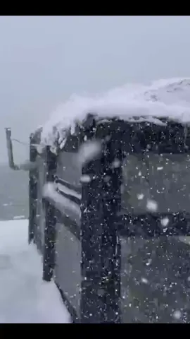 SNOW CAMP IN A STORM WITH SPELLING TENT #snowcamping #campfire #adventure #inflatabletent #wintercamping #blizzard 