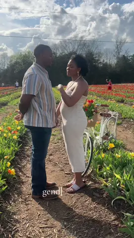 gender reveal for baby #2 #genderreveal #babynumber2 