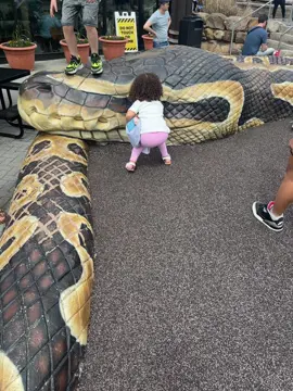 playing with the big snake | #zoo #fyp #snake 
