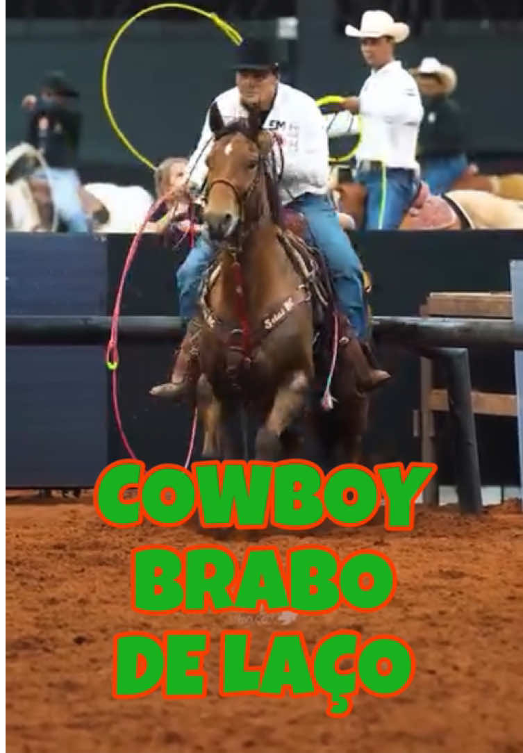 Prova de laço… #prova #laço #cavalo #horse #boi #gado #rodeio #rodeo #teamroping #ox #american #viralvideos #video #cowboy 