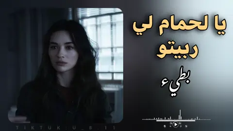 يا لحمام لي ربيتو - بطيء بدعمكم نستمر 🖤.  . . . #اغاني_راي_جزائرية🇩🇿 #اغاني_سعودية #اغاني_مغربيه #اغاني_خليجيه #اغاني_عراقيه #اغاني_تونسية #fyp #viralvideos #viralditiktok #محظور_من_الإكسبلور🖤🖇️💫 #بيدا_البرعصي 