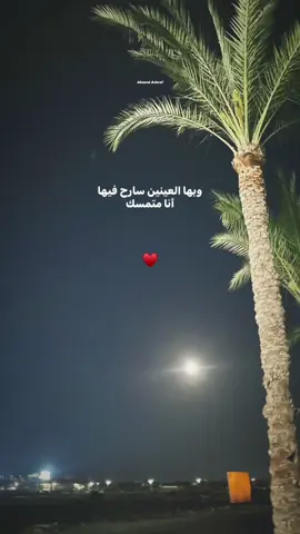 يا احلى ما شُفت في الكون ♥️ #ahmeedashraf120 #videoviral #explore #trendingvideo #video #fyyyyyyyyyyyyyyyy #fyyyyyyyyyyyyyyyyyyy #سيلاوي 