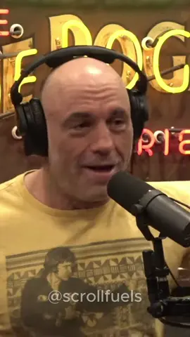 Joe Rogan | Katy Perry going to space? #JoeRogan #KatyPerry #TimDillon #Podcast