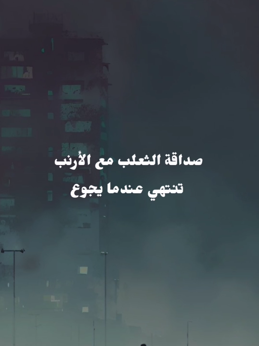 ليس كل من أكل معك الخبز والملح صديقك 📝