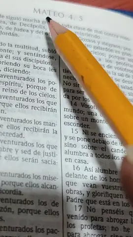 vosotros soy la luz del mundo (mateo 5:14) palabra de vida #viralvideos #tendencia #palabradedios 