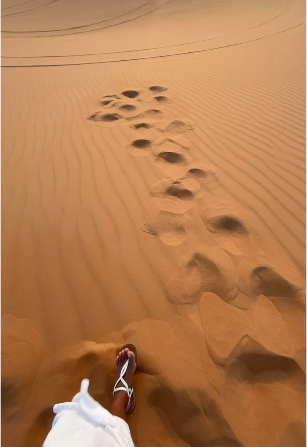 📍Desert safari dubai #dubai #desert #safari #adventure #travel #dubaidesert #desertsafaridubai