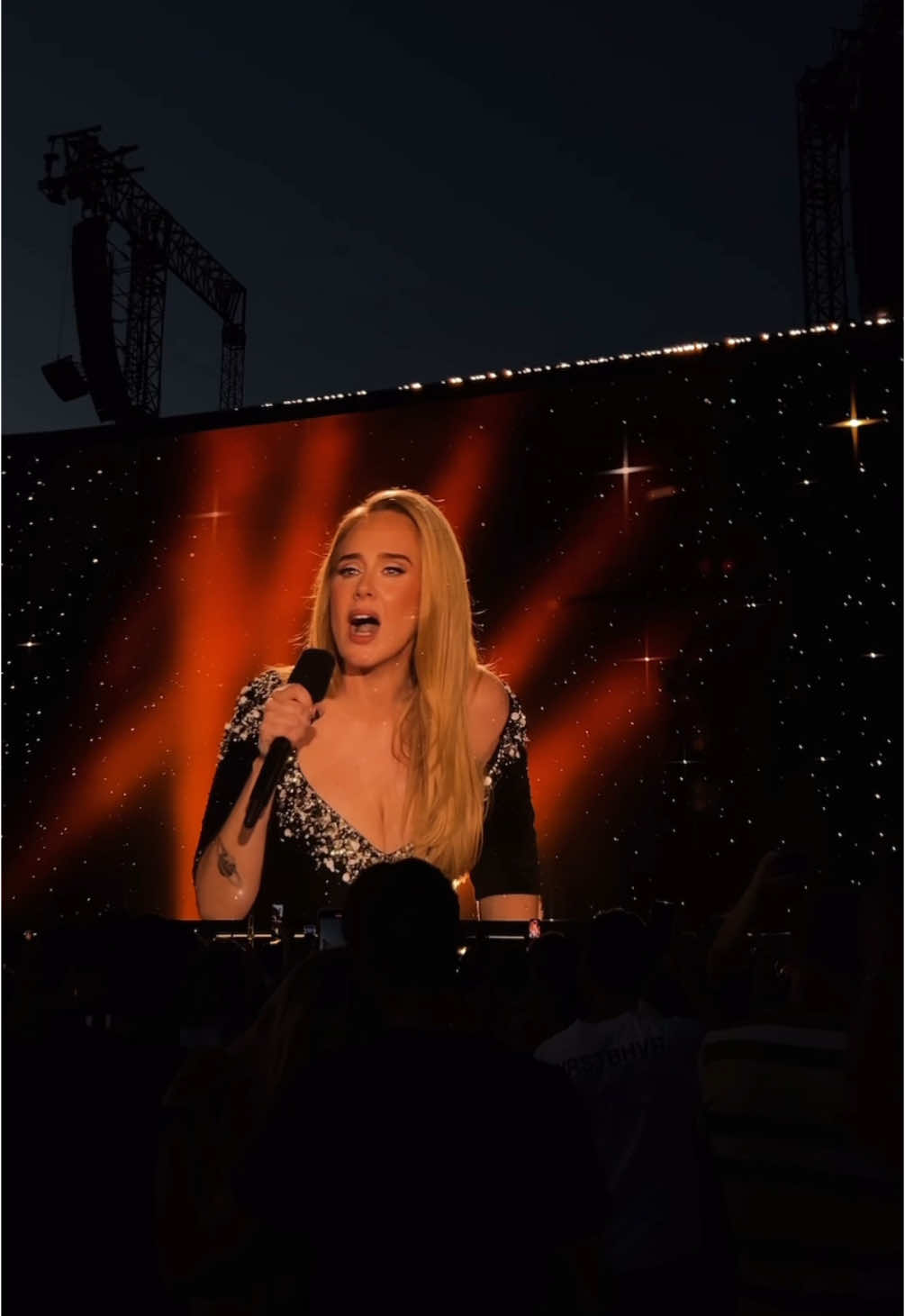 Love in the dark ✨🖤 || #adele #viralsong #adelemunich #loveinthedark #fyp #foryour 