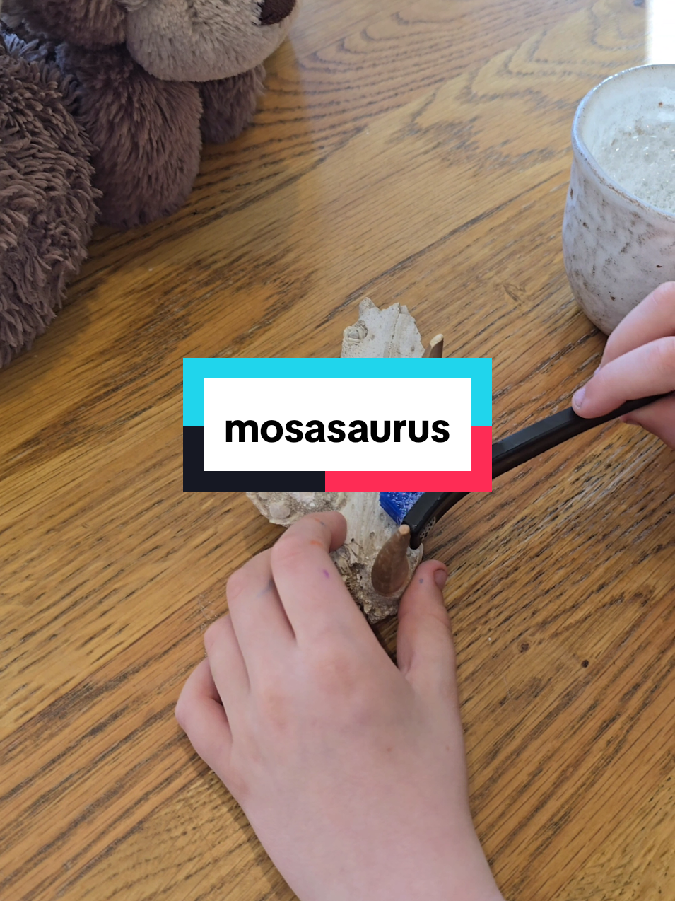 Do you want to know some cool things about Mosasaurs? If you do, then 7 year old Perry has your back. #dinosaurs #funfacts #facts #fossils 