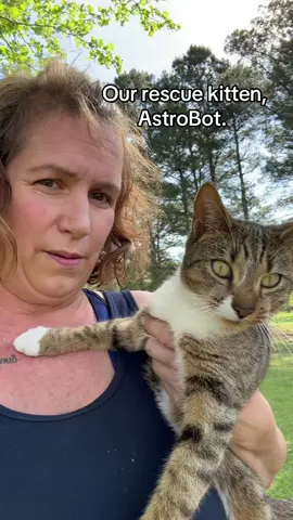 #reacuekitten #barncats #homestead 