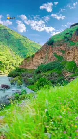 ئاوەمار.-سازان-هەڵەبجە🌸🥰🌺#CapCut #هەڵەبجەکەم #هەڵەبجە #for #rasty_lak #halabjakam #کوردستان🇹🇯️ #کوردستان🇹🇯️_عێراق🇮🇶 #ئاوەمار #سازان 