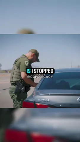 Cop pulls over same guy from three years ago #cops #policeofficer 