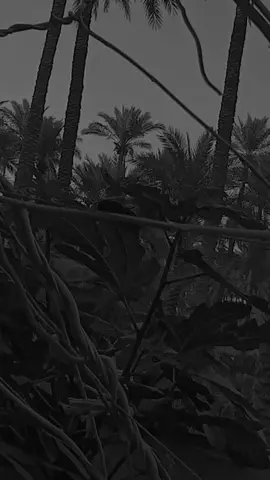 ولحد يكلي ارد اعتذر خل يمشي هو وعذره✋#مالي_خلق_احط_هاشتاقات🦦 