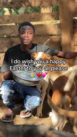 Hello please 🙏 everyone around the world how are you doing today. Am Jonah dogs 18 years old an orphan and homeless with courageous heart of saving mistreated dogs 🐕 from Mubende with my dog shelter friend to dogs shelter and l do have 21 adult dogs 🐶 and am in an aim of rescuing all mistreated dogs abd save them and help them but l do call upon everyone for the love of animals to join me and help me with anything little with support to complete our shelter very well because it’s not self because it’s getting old and for anything you can donate to our PayPal link in the boi and there down l do thank everyone who is trying to help may the lord bless you with anything you want thank you 🙏😢💔🐶🥰