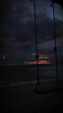 Meu Deus o que posso fazer…🎶