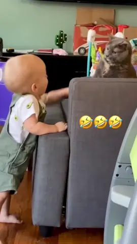 🤣🤣🤣 #voiceover #PetsOfTikTok #catsoftiktok #dogsoftiktok 