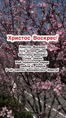 Христос Воскрес! #пасха #великдень #привітання #easter 