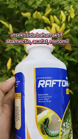 RAFTOMIL GOLD 686SC 1L #insektisida #wanda 