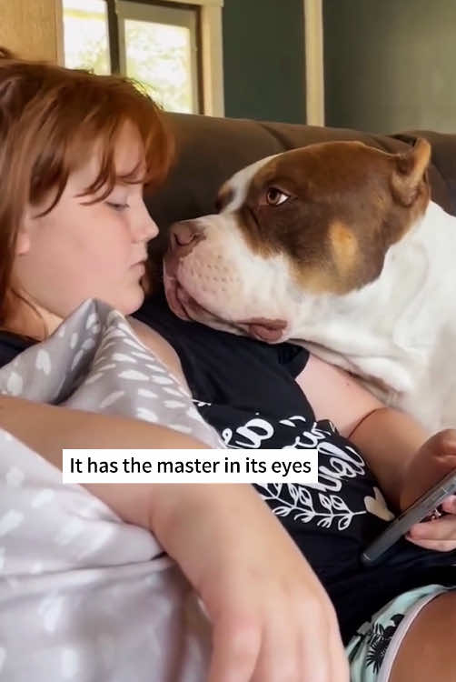 Clingy dog🫣😘🐕#dogsoftiktok #cute #dog #funny #TikTok 