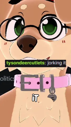 Doing what?? #furry #cute #perfectlycutscreams #goodboy 