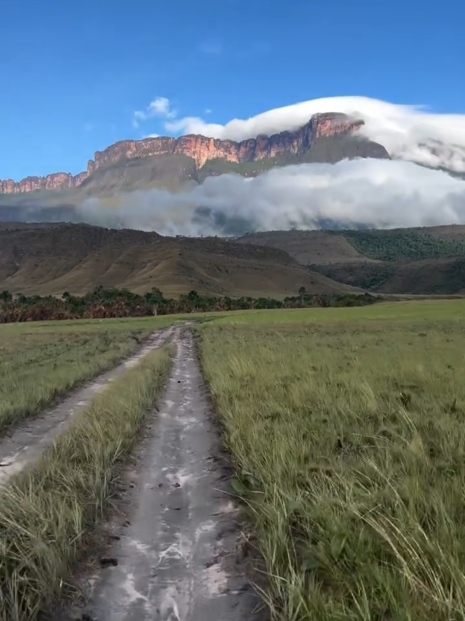 La Roca más antigua del Planeta, Auyantepui 🇻🇪🌿 #pemon #bolivar #cascadas #lagunadecanaima #saltoangel #venezuela #venezolanosenelmundo #canaima #adventure #naturaleza #auyantepui #turismovenezuela #turismo  📷$📝@imawaribg IG