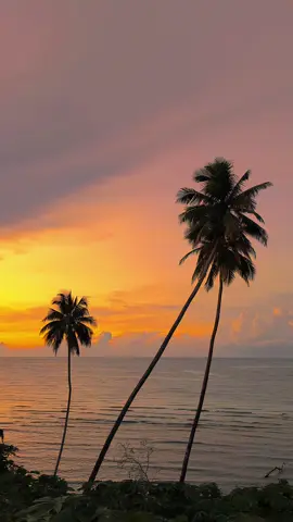 🏝️ #indiasong #sochnasake #sadvibes🥀 #bollywood #fyp #viral #xyzbcafypシ 