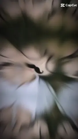 he:>