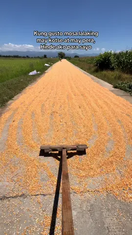 Mahirap maging mahiarap tol #byaherongtiktokers #magsasaka #bukid #tiktoknews 
