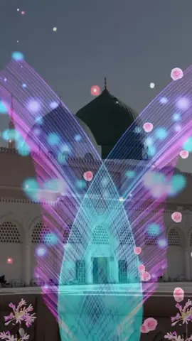تیرے بن یا نبی ﷺْ کوئی میرا سہارا نہیں #حضرت_محمد_مصطفی_صل_الله_علیه_وسلم #fypシ゚viralontiktok #tiktokofficial #fypシ゚viral 