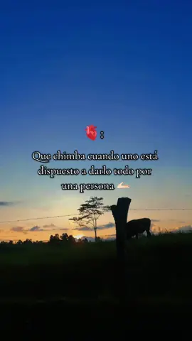Si tú amor no vuelve 🫀🥃 #binomiodeorodeamerica #Vallenaticos #fypシ゚viral🖤tiktok☆♡🦋myvideo #😍😍 #♡♪ #viral_video #Momentos #Atardeceres 