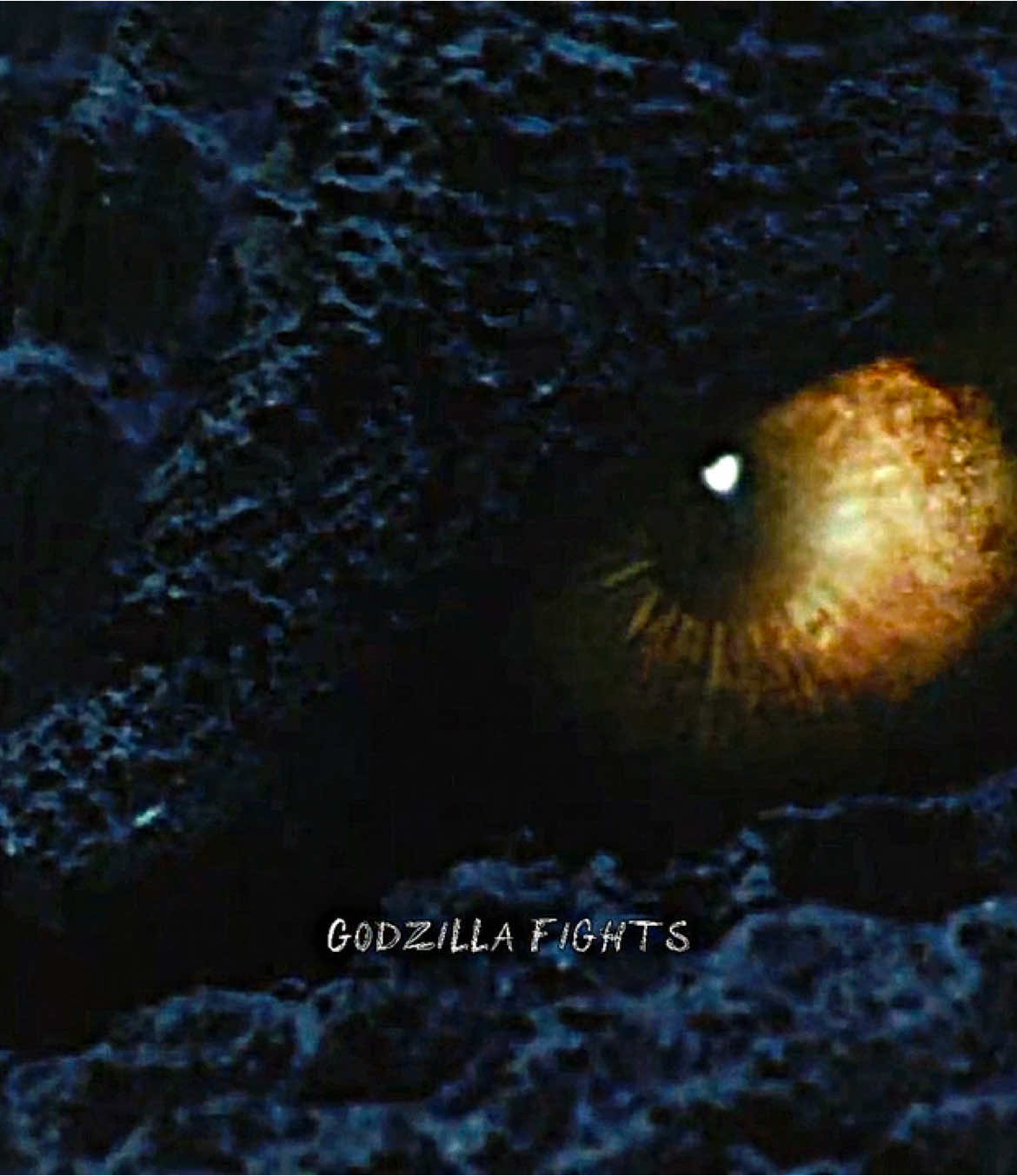 GODZILLA FINAL WARS🗣️🔥 #godzilla #godzillafinalwars #toho #monsterverse #japanese #kaiju 