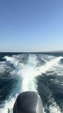 #sea #beach #sunrise #vacationmode #trending #بحر #قارب #غوص #شروق #الشمس 