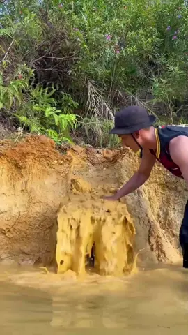 Looking for gold and panning for gold buried in river walls #goldhunter #golddiscovery #goldpanning #mininggold #viralvodeo #foryou #foryoupage 