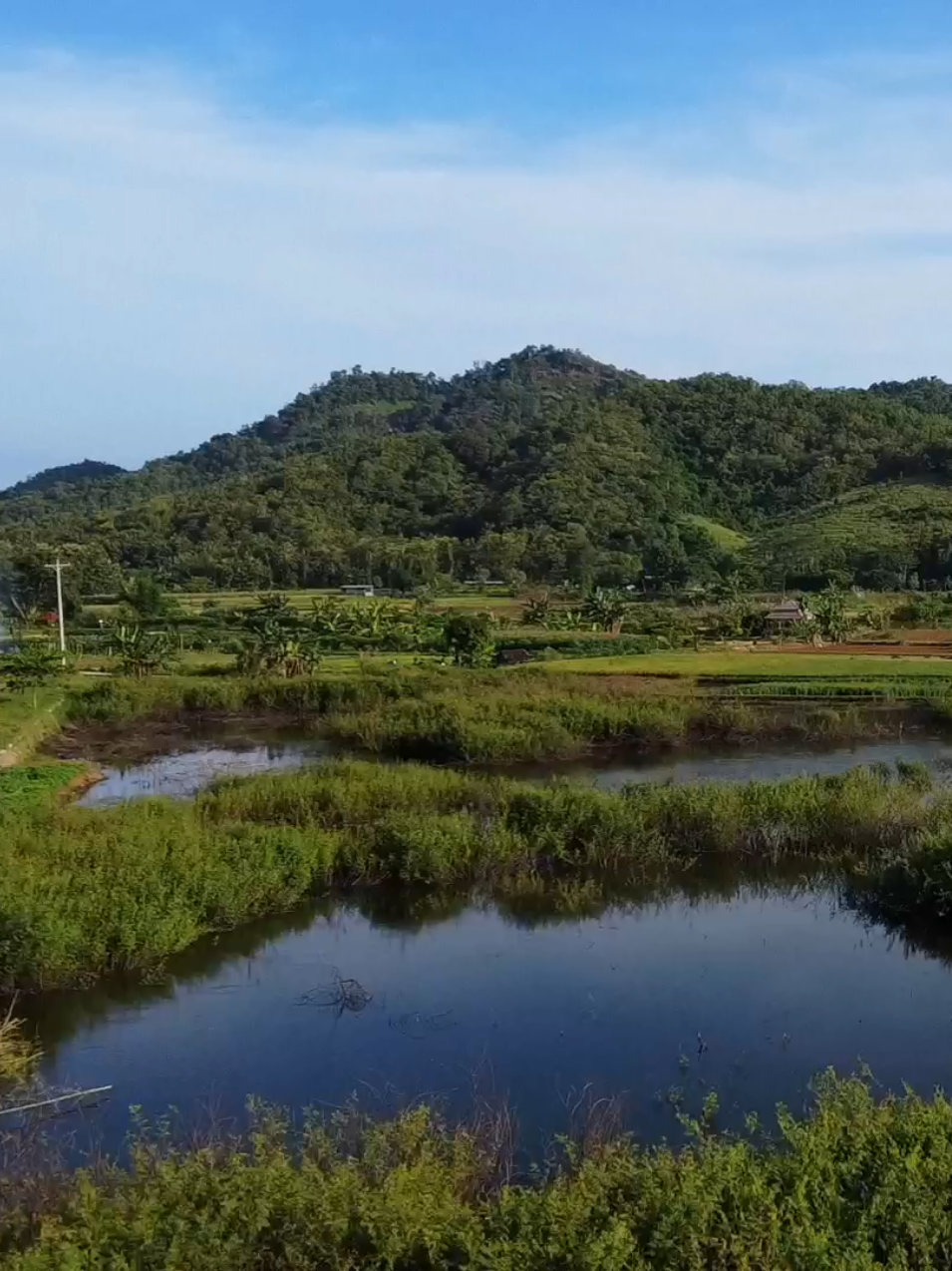 nyore asik sambil mengagumi keindahan ciptaan-Nya 🙌 #desawisata #jangglengan #sukoharjo #wonogiri #sukoharjo24jam #wonogiri24jam #wisataalam #wisataair #wisatasolo #wisatajateng #explorejateng #pesonaindonesia #wonderfulindonesia 