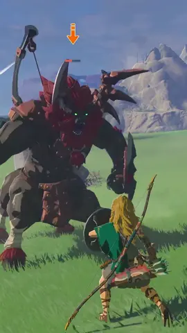 Pose secreta en Zelda TOTK! #totk #tearsofthekingdom #zeldatotk #zeldatotkmeme #tearsofthekingdomtips #totkmemes #fortnite #emotes #fortniteemotes