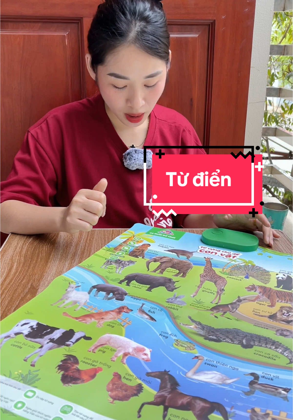 Từ điển tiếng việt…Bảng bấm khủng long điện tử tr #xuhuong #tudienthongminh 
