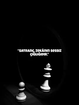 “Satranç, zekânın sessiz çığlığıdır.” #satranç #felsefe #zeka 