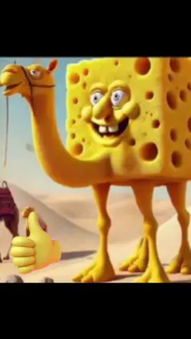 SPONGINI CAMELINI #brainrot#italianbrainrot